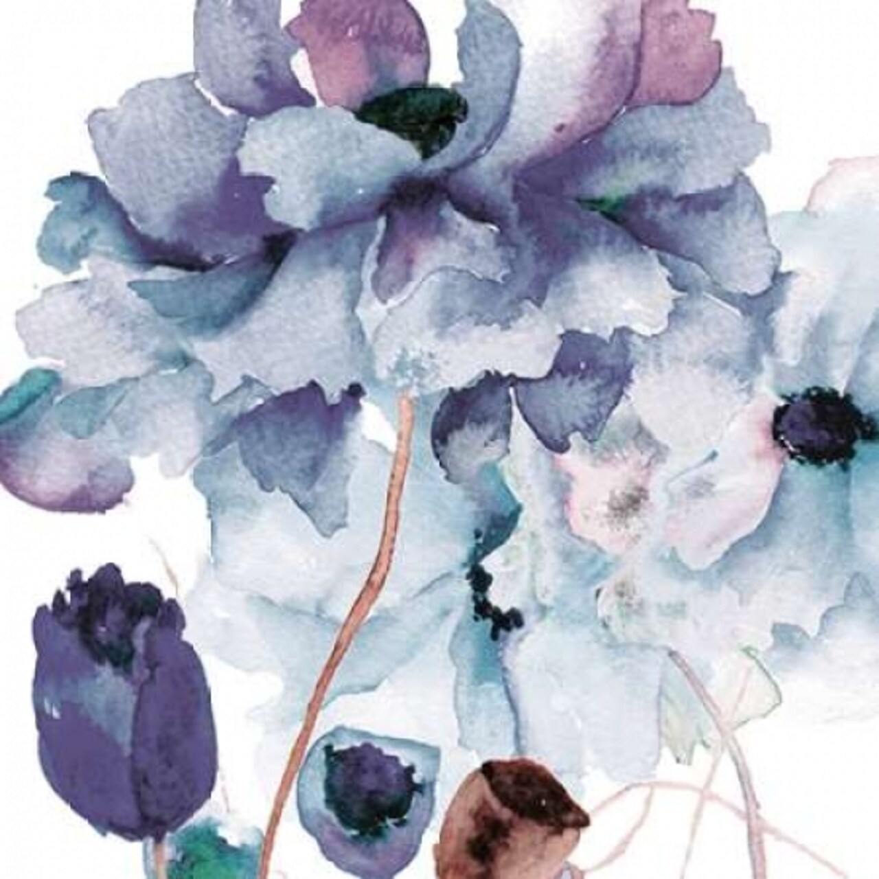 Aromatic Botanics 2 Poster Print by Victoria Brown - Item # VARPDXVBSQ044B